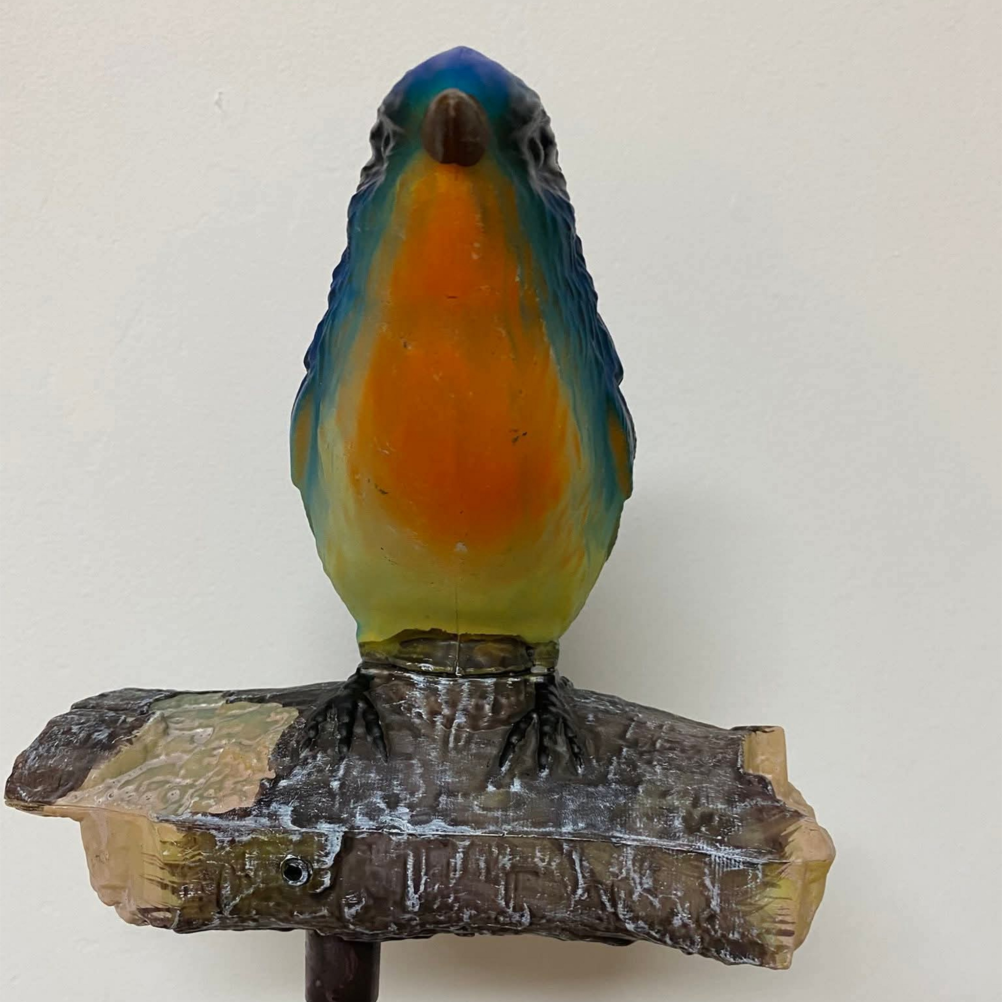 Solar Tweeting Bluebird