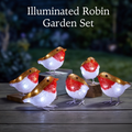 Inlit Ice Ornaments - Robins