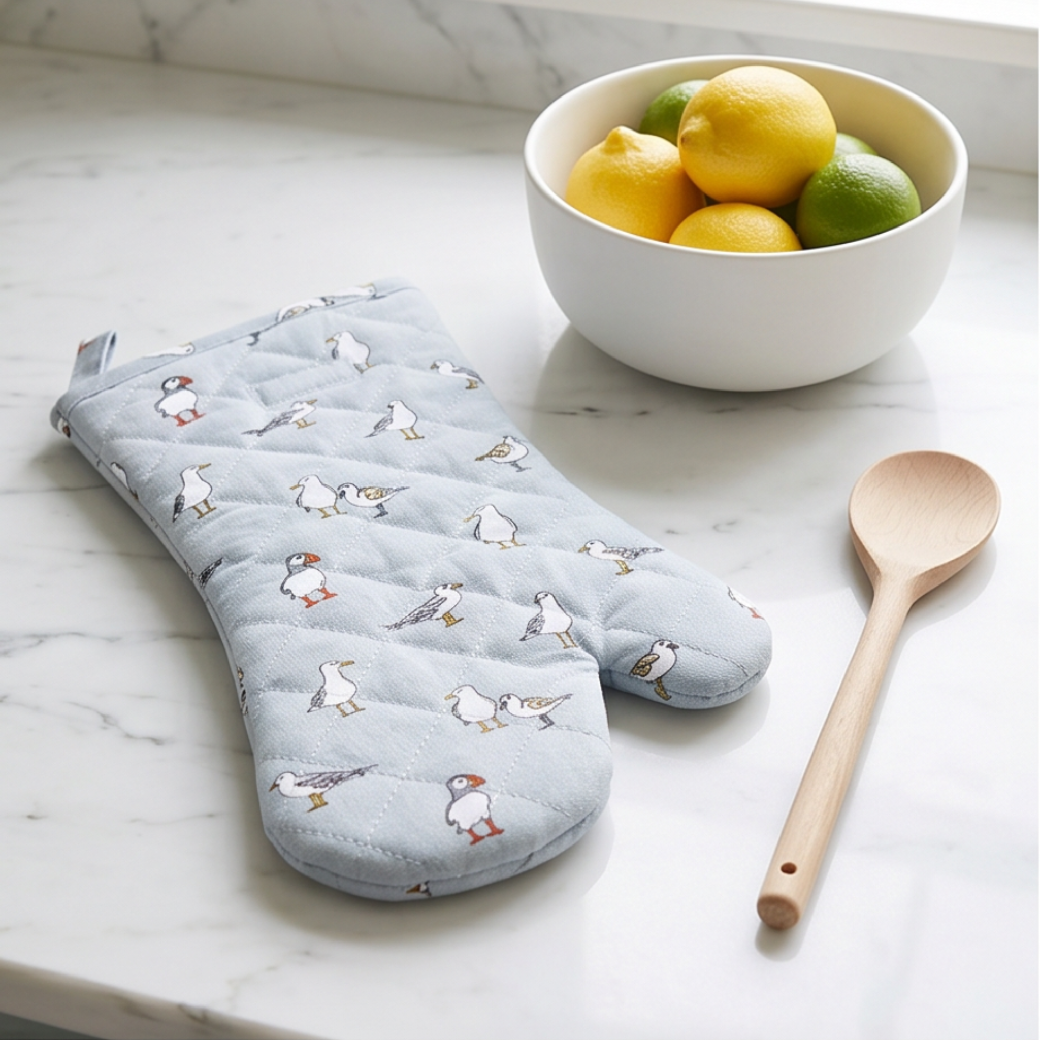 Coastal Birds - Oven Glove