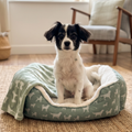 Sweet Dreams Dog Bed - 2 sizes