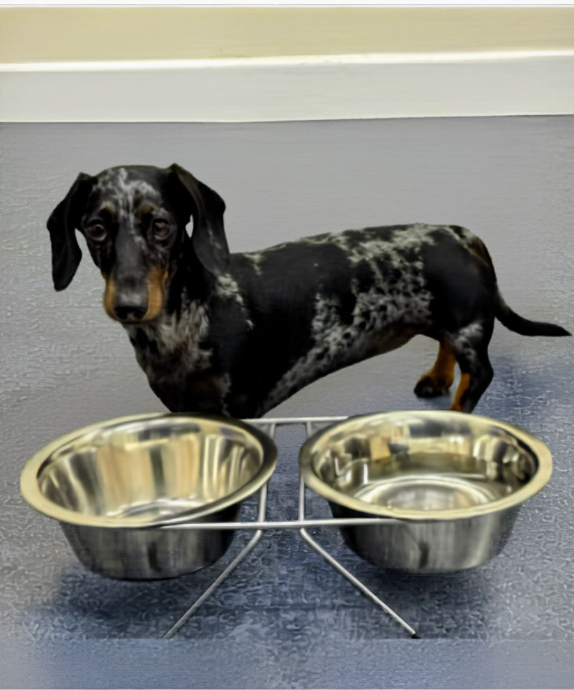 Personalised Double Diner Pet Bowl