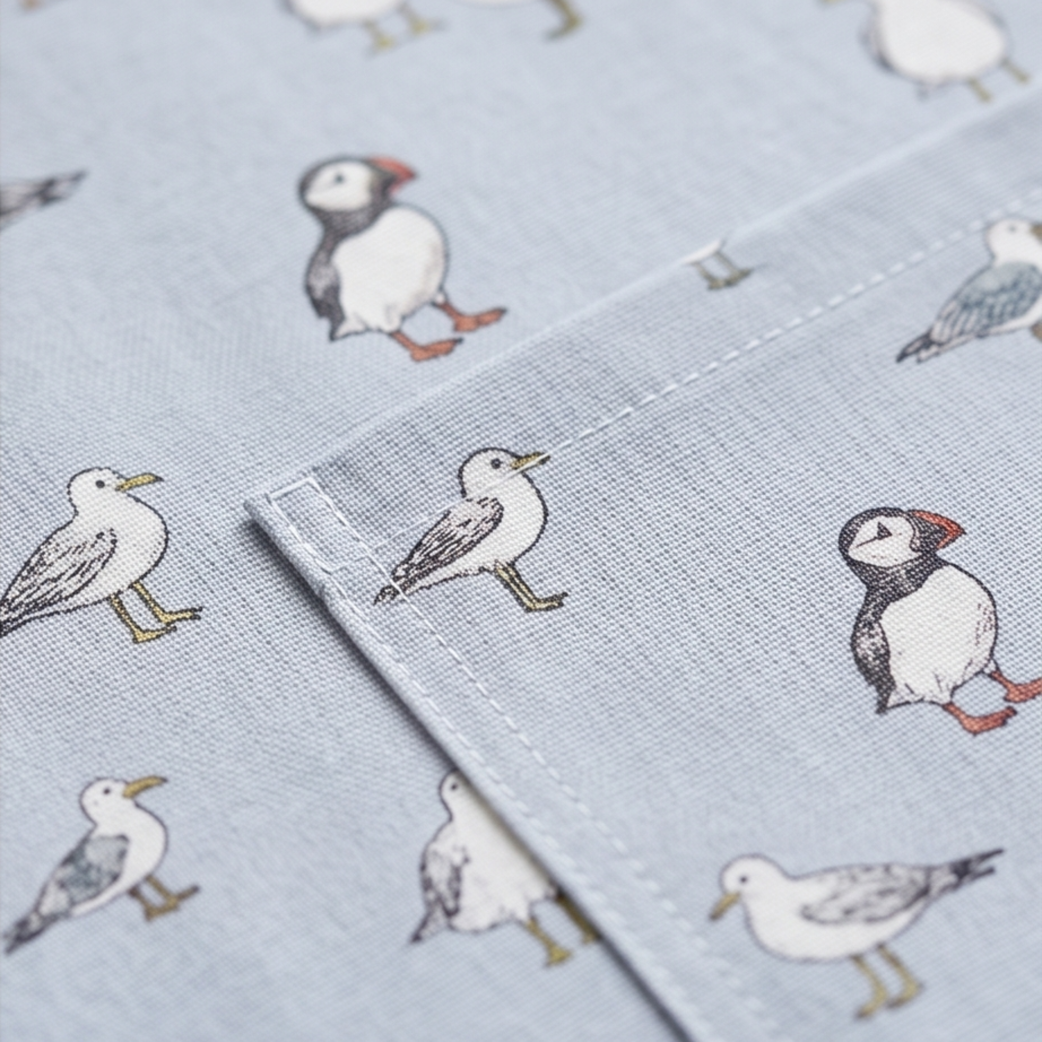 Coastal Birds - Apron