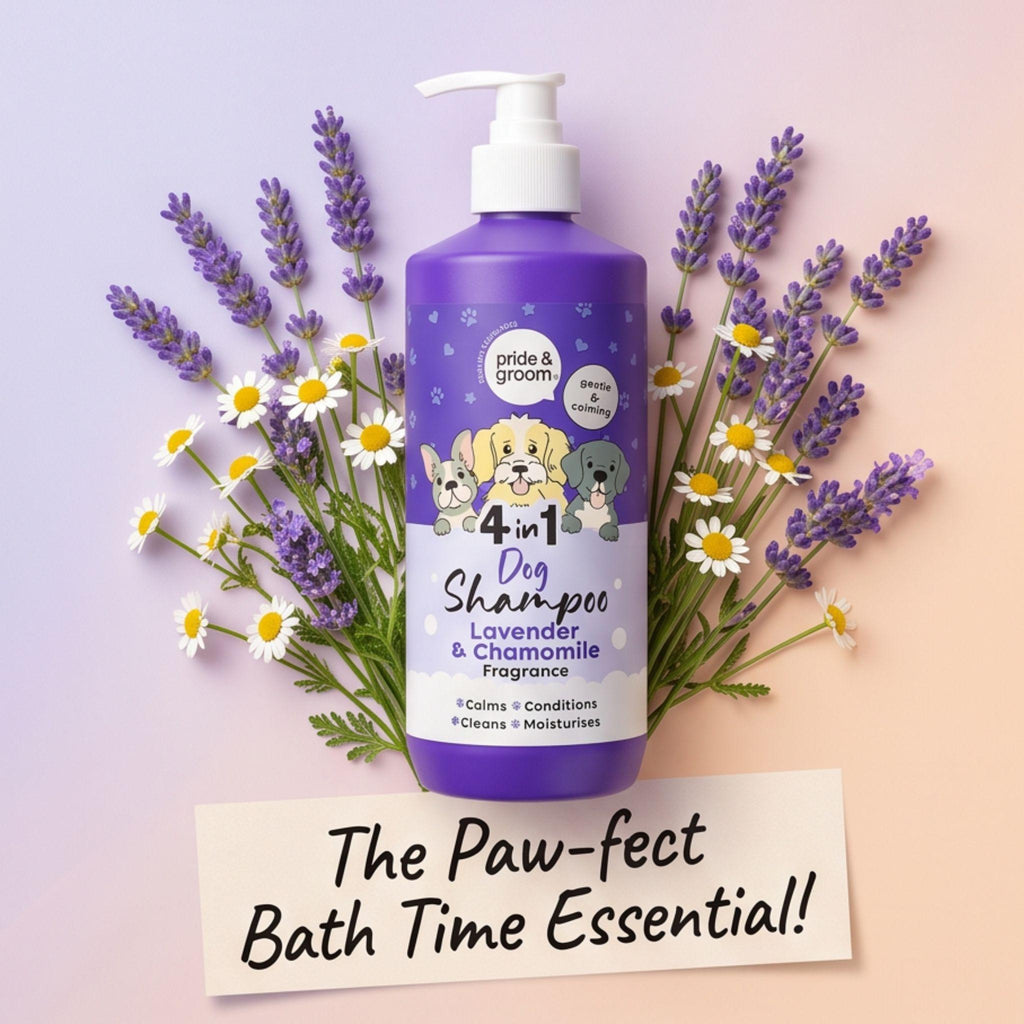 Dog Shampoo 500ml