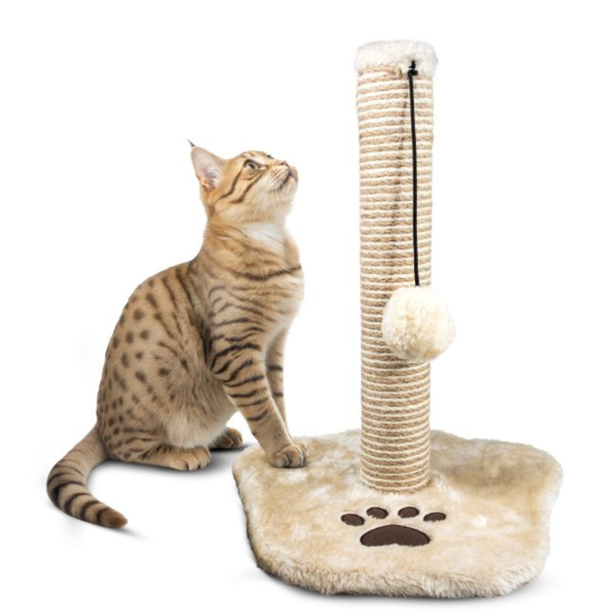 Paw Shape Cat Scratch Post