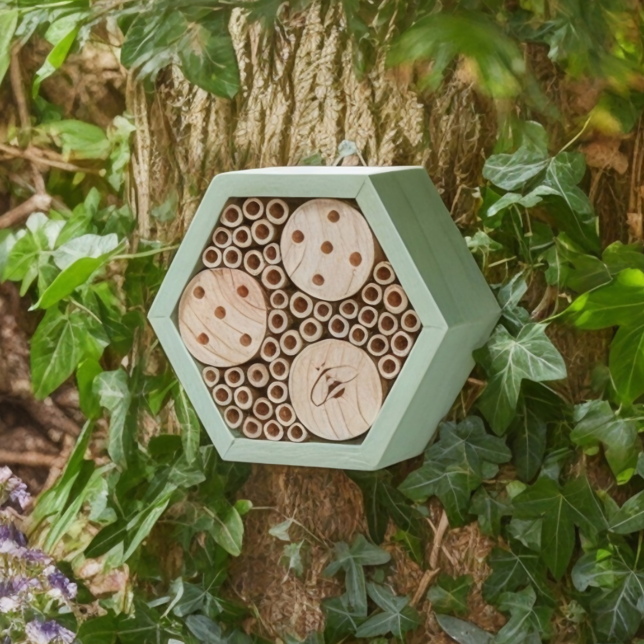 Mason Bee Hex  Box