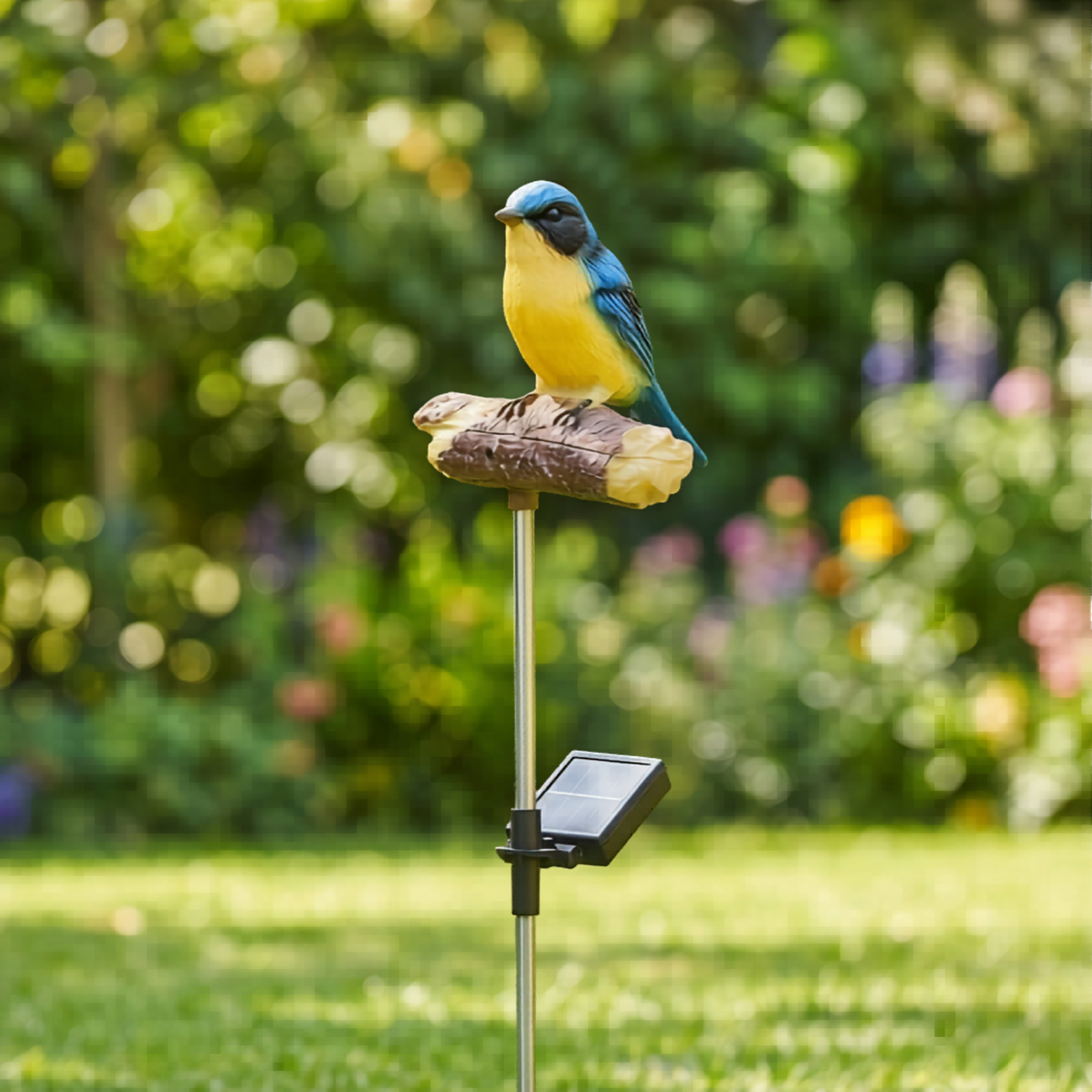 Solar Tweeting Bluebird