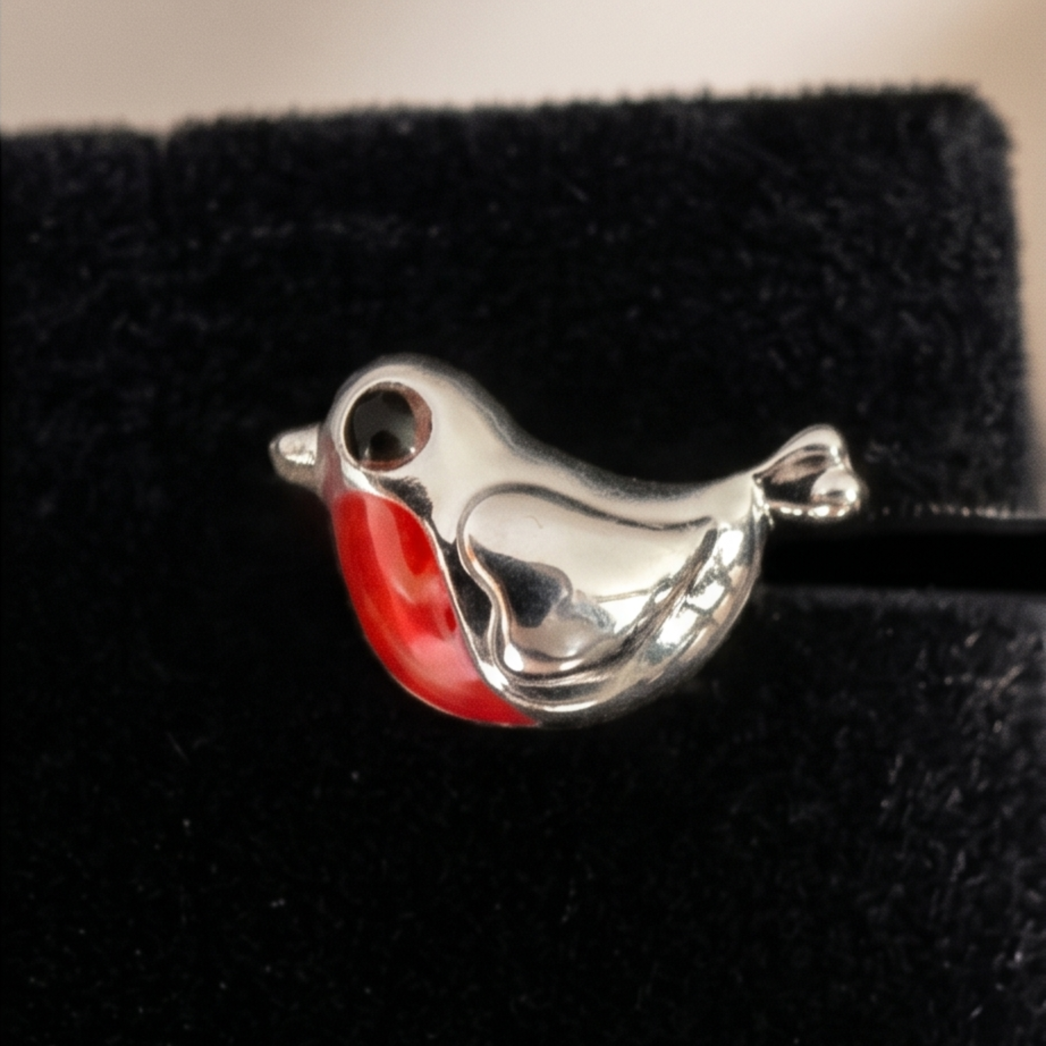 Personalised  Captured With Love Robin Earrings