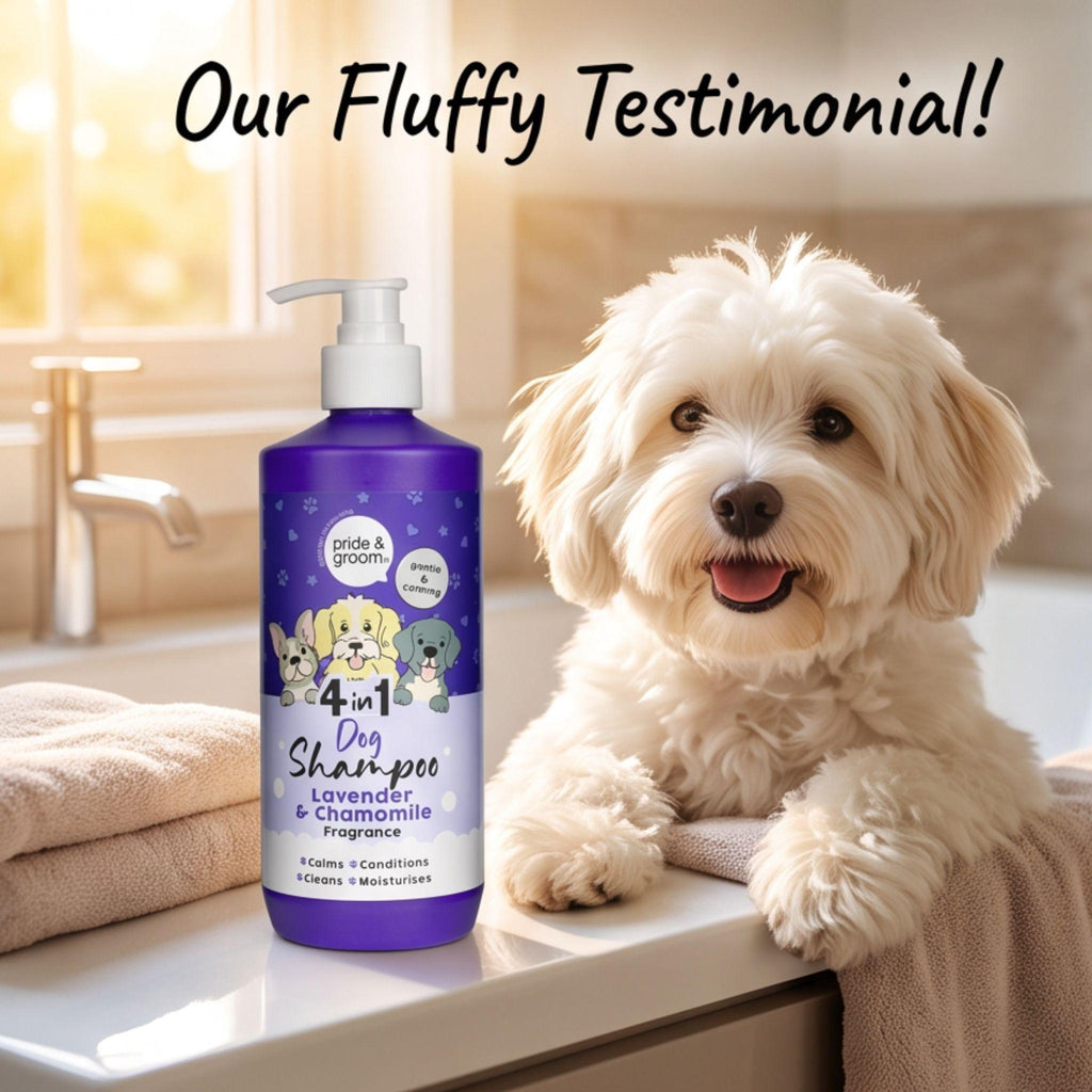Dog Shampoo 500ml
